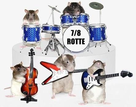 78 Rotte bilde 300126.jpg Illustrasjonsbilde der rotter spiller i band